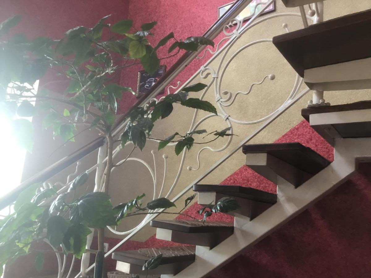 Inn Alibi Городилець Екстер'єр фото